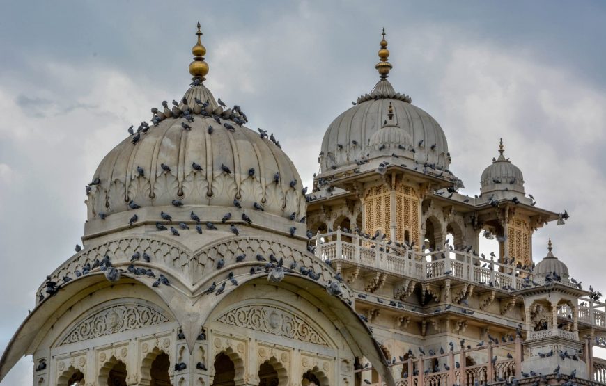 Essence of Rajasthan: Fortresses, Palaces, and Taj Mahal