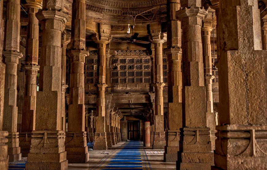 Historic Gujarat: Ahmedabad, Little Rann, and Rajkot Experience