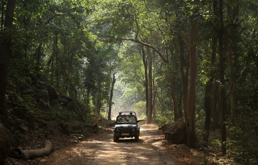 Jungle Safari & Monumental Treasures: Central India