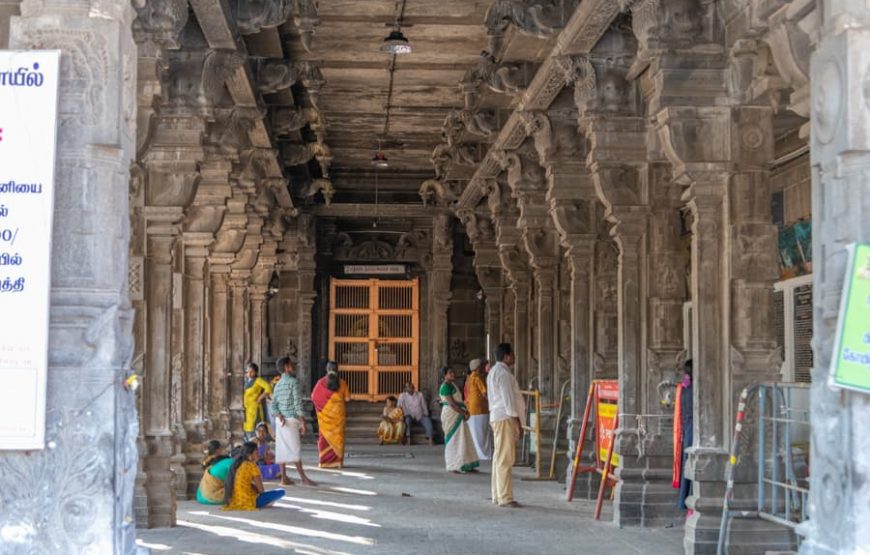 Southern Splendor: Temples & Backwaters Tour from Chennai to Cochin