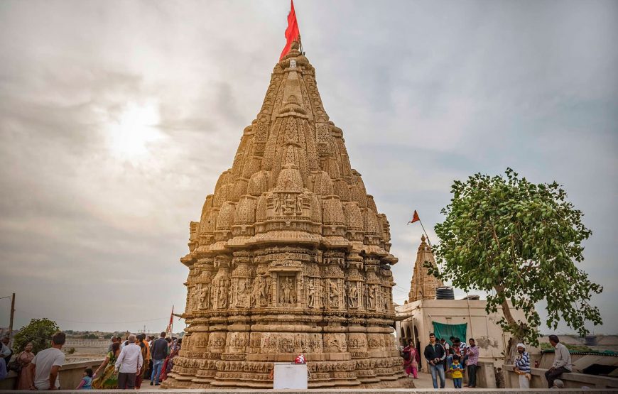Sacred Temples and Wildlife Wonders of Gujarat