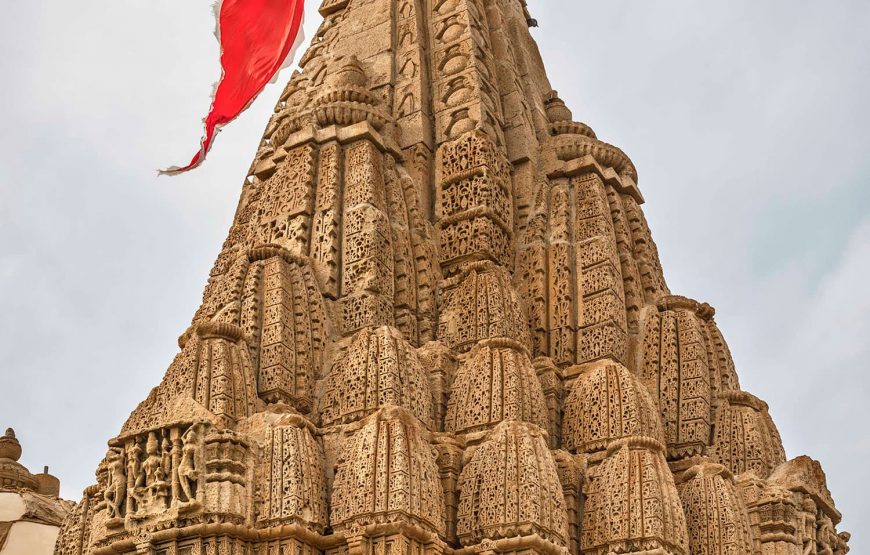 Sacred Temples and Wildlife Wonders of Gujarat