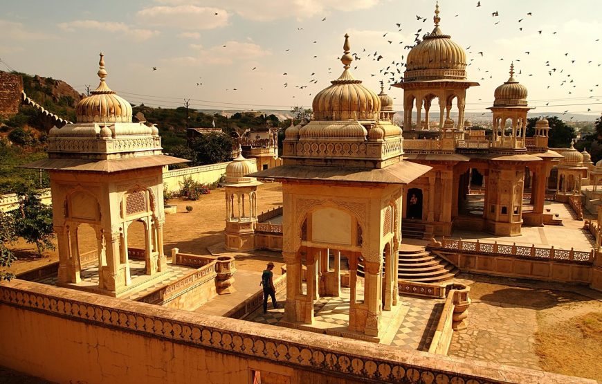 Jaipur Gems: Forts & Palaces