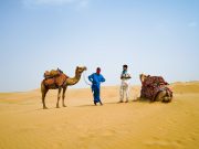 Jaisalmer Fortresses & Havelis Tour