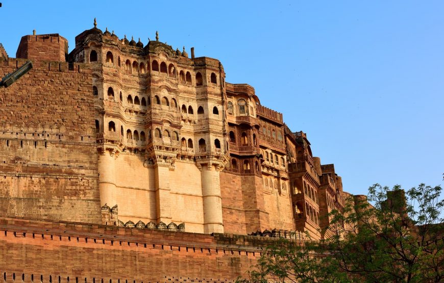 Royal Rajasthan Odyssey: Forts, Palaces & Desert Cities