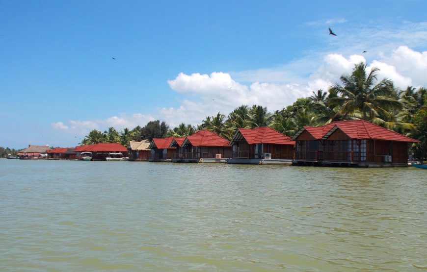 Journey Through Tamil Nadu and Kerala: Temples to Backwaters