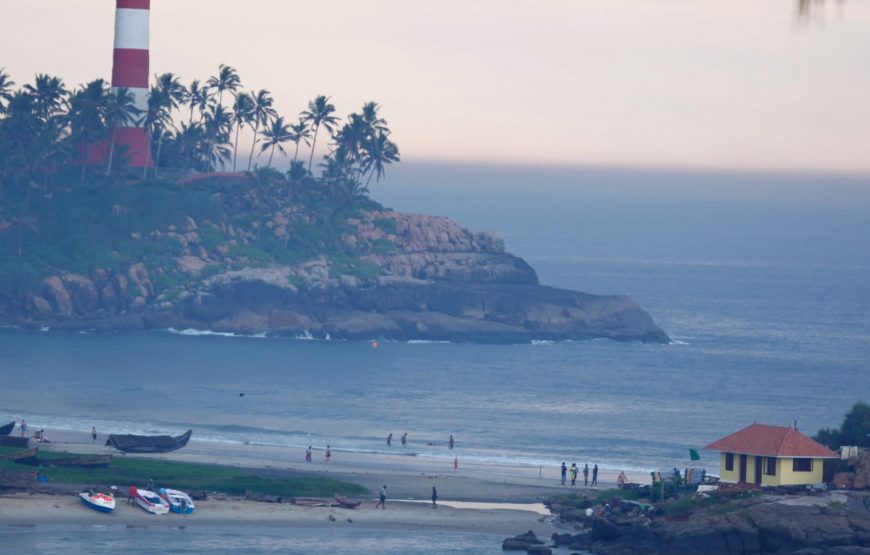 Green Escapes & Coastal Charms: Kerala’s Tea Estates & Kovalam Beach