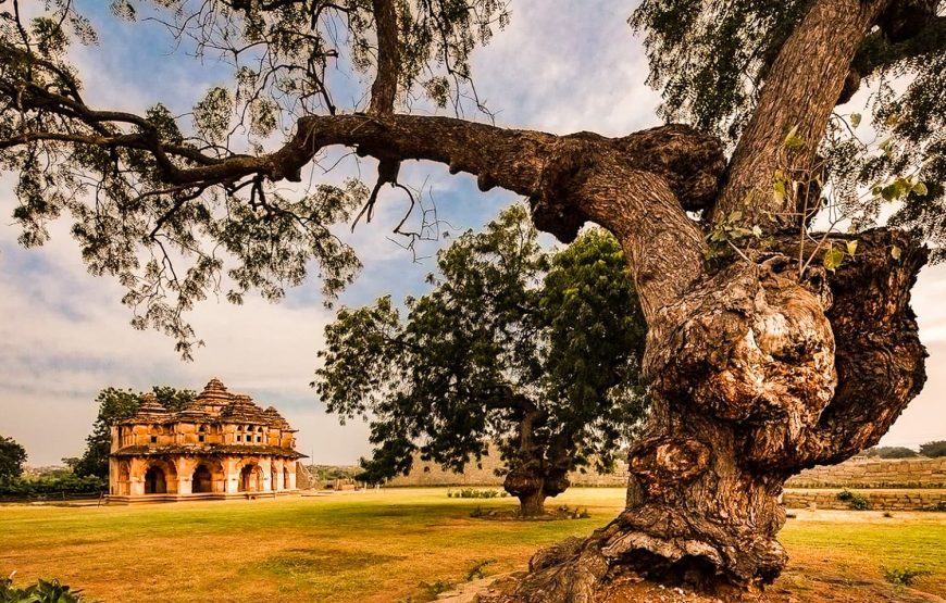 Karnataka Historical Odyssey: Hampi, Bijapur, Badami & Wildlife Safari