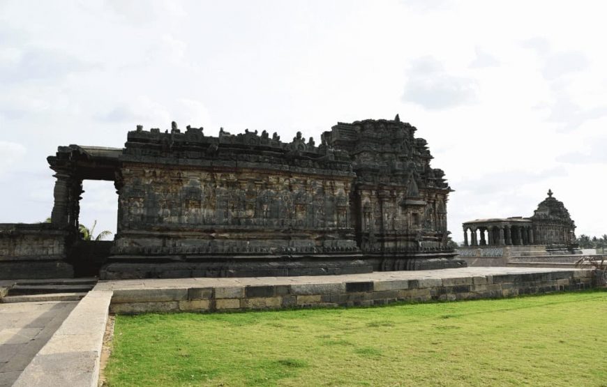 Cultural Treasures and Natural Wonders: North to South India Tour