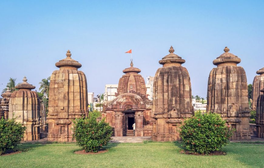 Temple Towns and Wildlife Sanctuaries of Odisha
