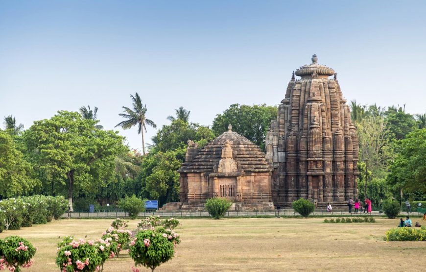 Temple Towns and Wildlife Sanctuaries of Odisha
