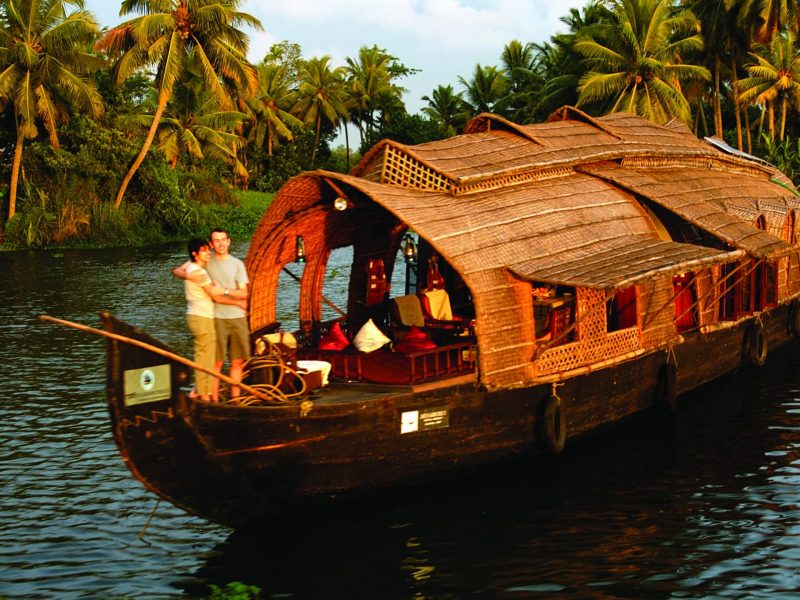 Enchanted Kerala: From Tea Gardens to Backwater Serenity
