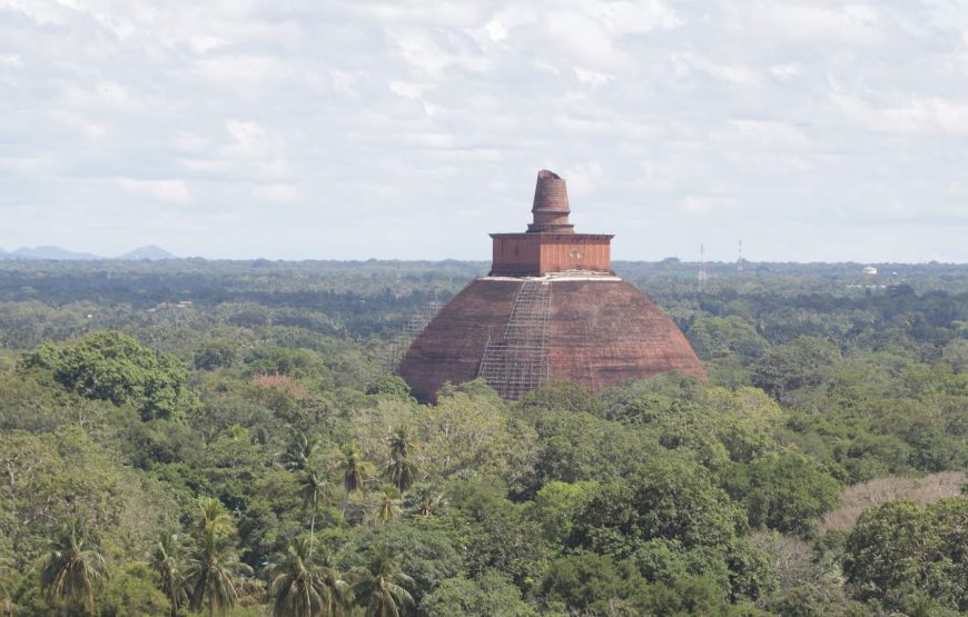 Enchanting Sri Lanka: History and Nature Discovery Tour