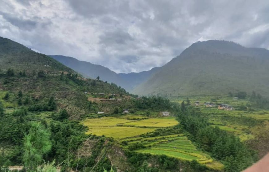 Enchanting Bhutan: Land of Thunder Dragons