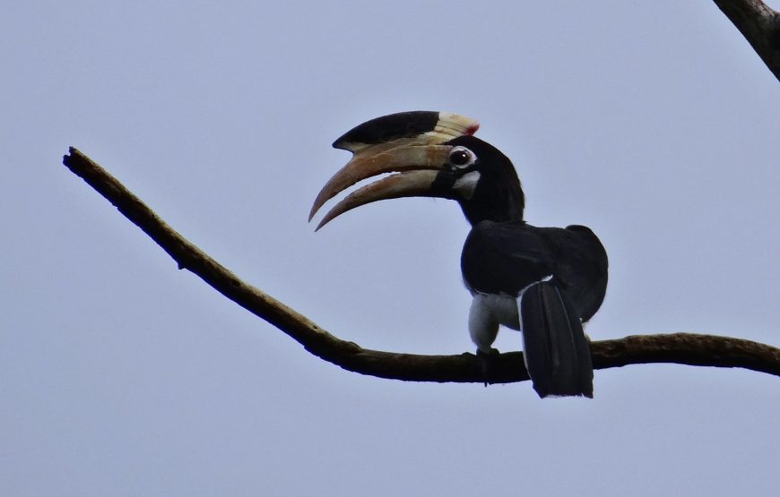 Anshi National Park Jungle Escape from Goa