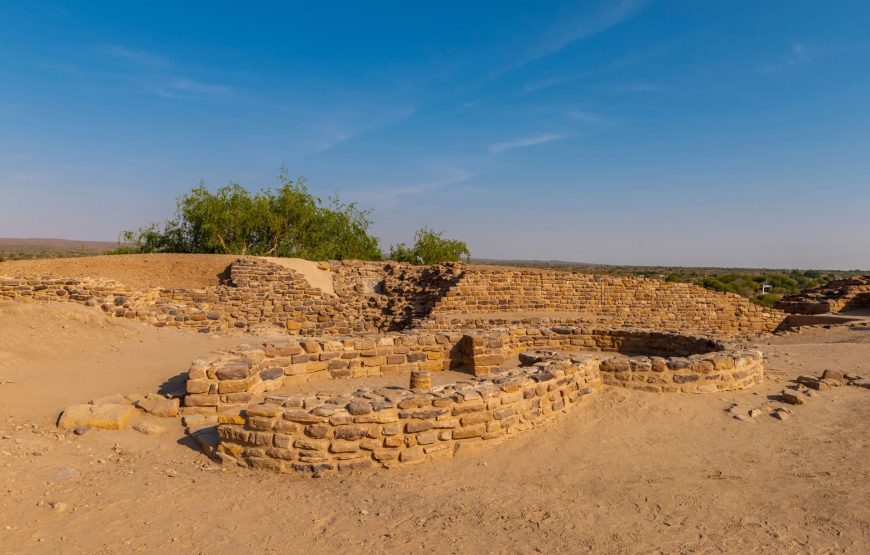 Cultural Treasures and Desert Wonders: A Gujarat Exploration
