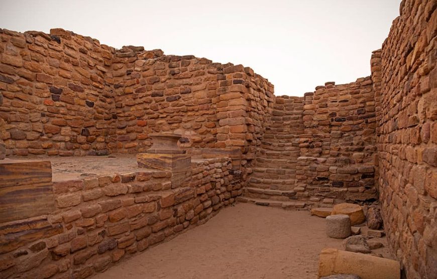 Gujarat Ancient Treasures & Desert Charms Tour