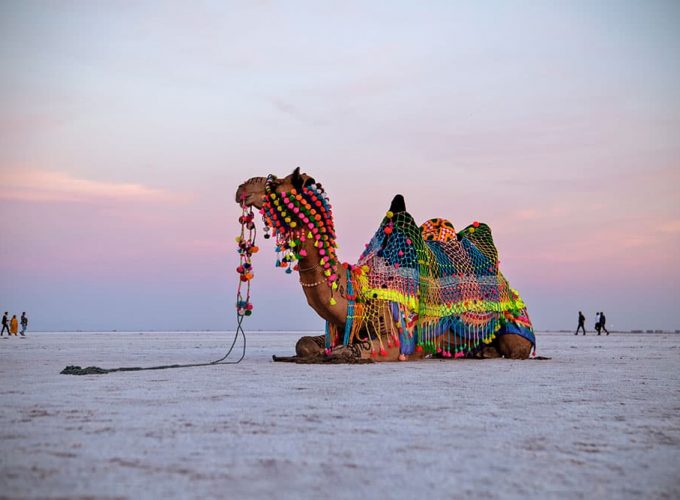 Colors of Kutch: From Bhuj to the White Desert