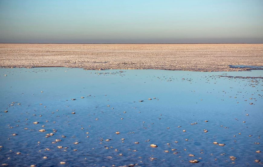 Safari and Salt Flats: Exploring Kutch’s Natural Wonders
