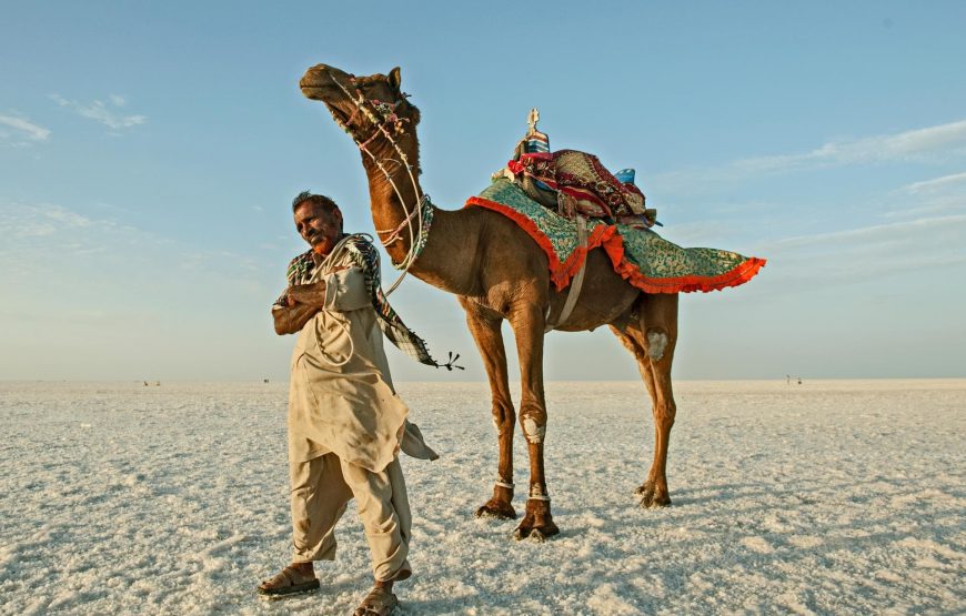 Colors of Kutch: From Bhuj to the White Desert