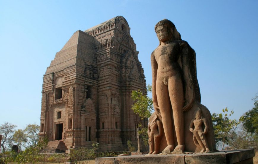 Mughal Grandeur to Wildlife Safari: A Journey from Delhi to Bhopal