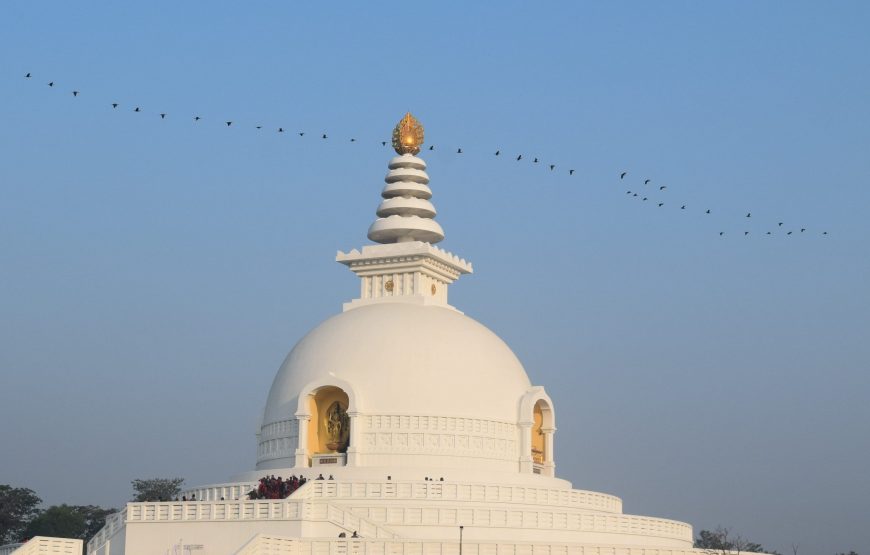 Pilgrimage & Heritage Odyssey: Buddhist Sites and Taj Mahal Exploration