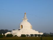 Enchanting Nepal: Jungle Safari & Mountain Serenity