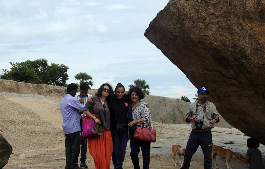 Southern Charms: Kerala & Tamil Nadu Discovery Tour