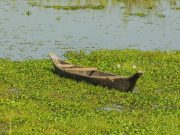 Assam Wilderness and Cultural Heritage Tour