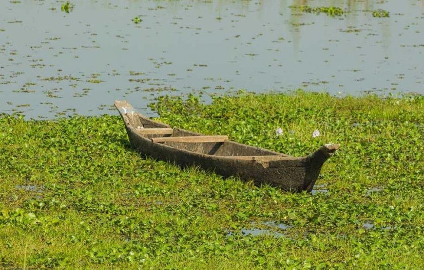 Wildlife & Cultural Splendors of Assam: Kaziranga & Majuli Island Tour
