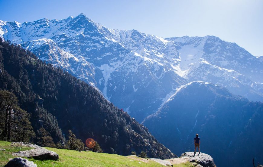 From Delhi to the Himalayas: Shimla, Manali, Dharamshala & Amritsar