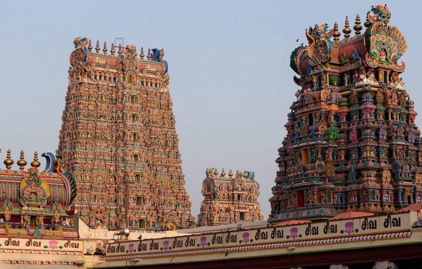 Splendors of the South: Kerala & Tamil Nadu Exploration