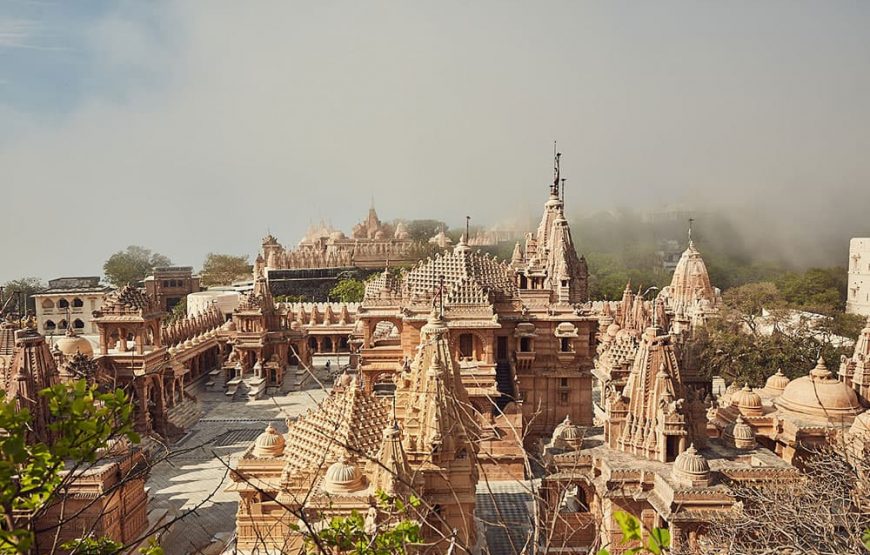 Gujarat Heritage Expedition: Temples, History & Wildlife