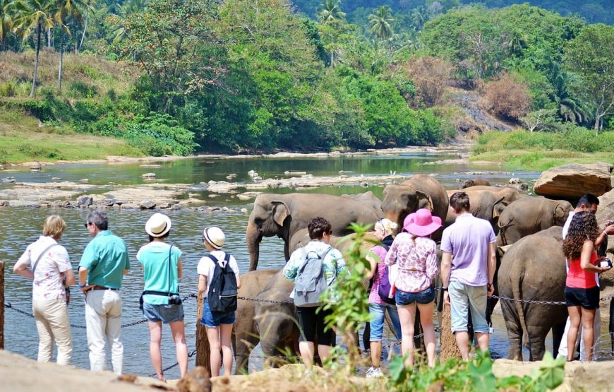 Sri Lanka Discovery Tour: Culture, Wildlife & Scenic Beauty