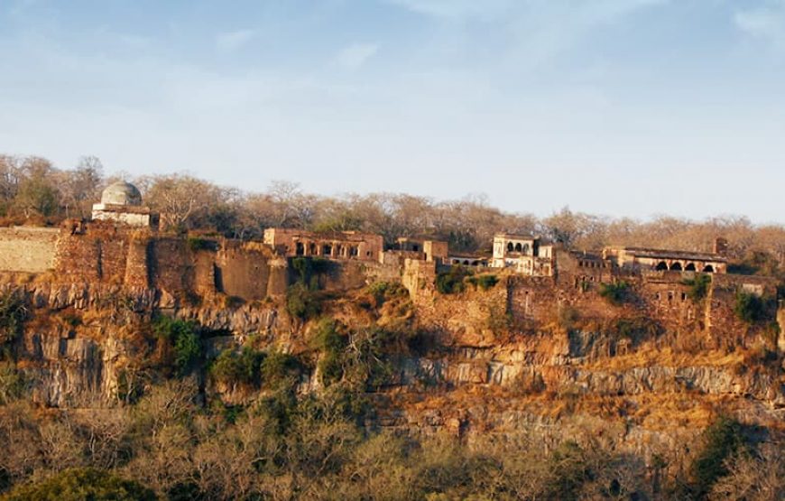 Rajasthan Regal Retreat: Historical Cities & Jungle Safari