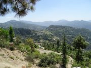 Himalayan Hill Station Adventure: Shimla & Chail Expedition