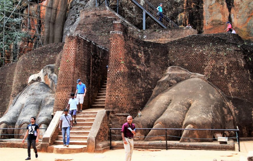 Enchanting Sri Lanka: Cultural Gems and Natural Wonders Tour