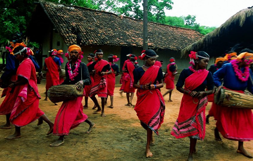 Indigenous Odisha & Chhattisgarh Expedition: Tribal Village Experience
