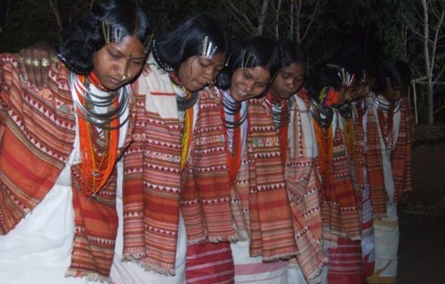 Indigenous Odisha & Chhattisgarh Expedition: Tribal Village Experience