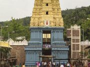 Odisha Tribal Discovery: From Vizag to Raipur