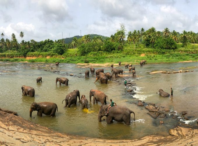 Sri Lanka Splendor Tour: Heritage, Wildlife, and Coastal Charm