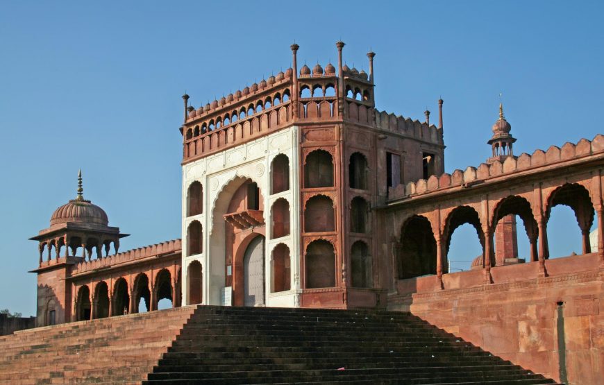 Mughal Grandeur to Wildlife Safari: A Journey from Delhi to Bhopal