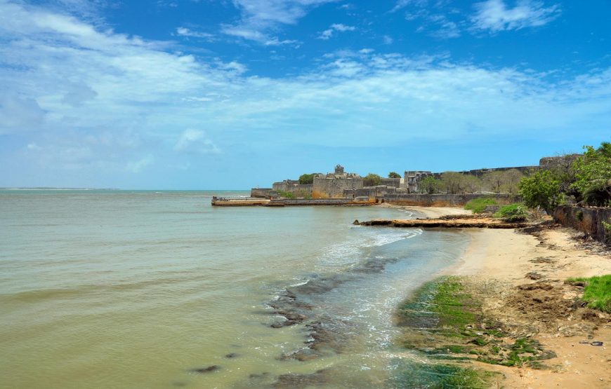 Sacred Temples and Wilderness of Gujarat: Rajkot to Diu Journey