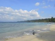 Tropical Wonders of Andaman: A Journey Through Paradise