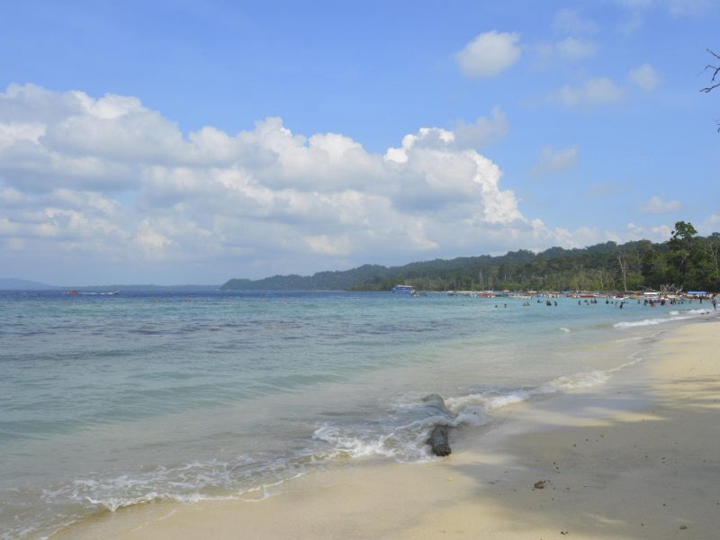 Tropical Wonders of Andaman: A Journey Through Paradise