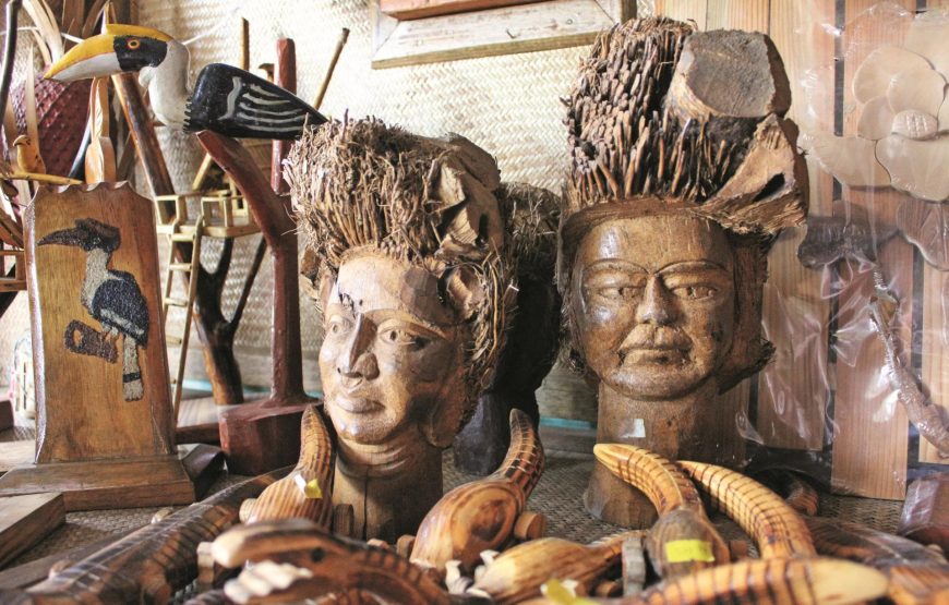 Tribal Treasures of Arunachal Pradesh