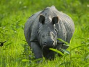 Himalayan Tranquility: Dirang, Tawang & Kaziranga Expedition