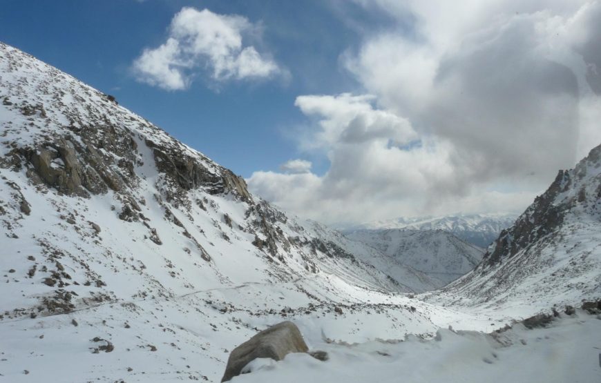High Pass Adventures: Leh, Nubra Valley & Pangong Lake
