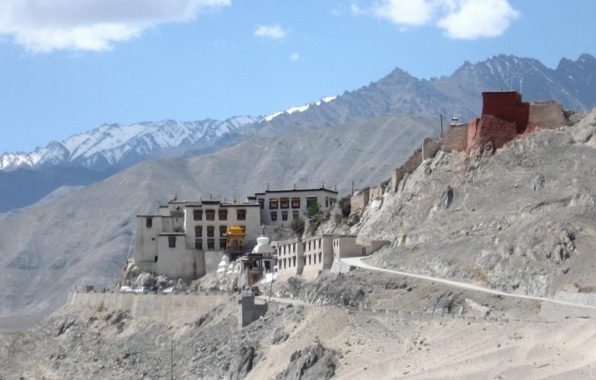 From Leh to Pangong Tso: A Scenic High-Altitude Expedition