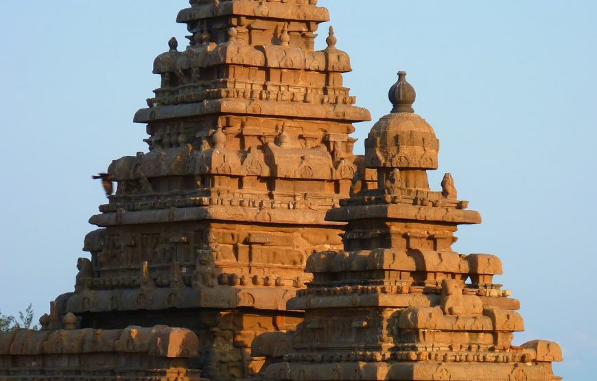 Tamilnadu Rich Temples & Andaman Island The Beach Paradise Private Tour from Chennai